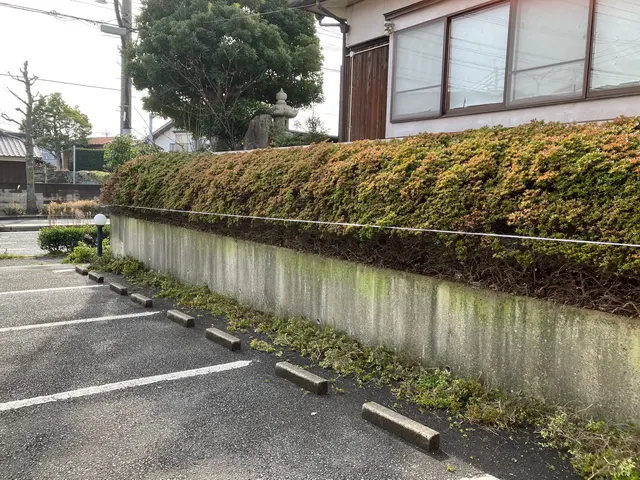 男女2人で作業いたします。役割分担で作業が速い。高圧洗浄で排水口までキレイに！サービスの画像