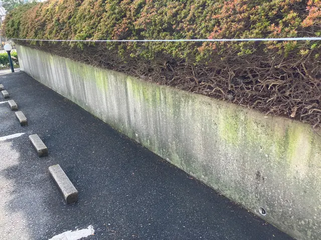 男女2人で作業いたします。役割分担で作業が速い。高圧洗浄で排水口までキレイに！サービスの画像