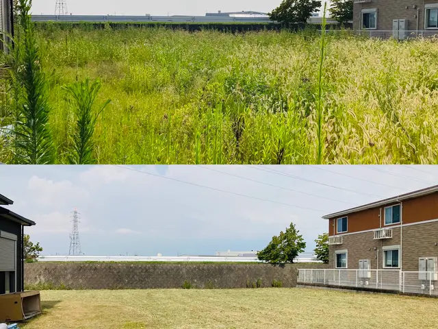 業歴19年以上★少量からでも大歓迎★緑や庭のことならお任せ下さい★一級造園技能士サービスの画像