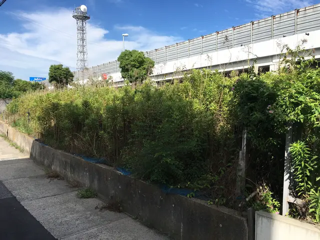 業歴19年以上★少量からでも大歓迎★緑や庭のことならお任せ下さい★一級造園技能士サービスの画像