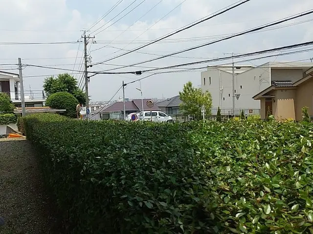 【PayPay・カード決済OK】庭木1本だけでもOK。処分費込です。サービスの画像