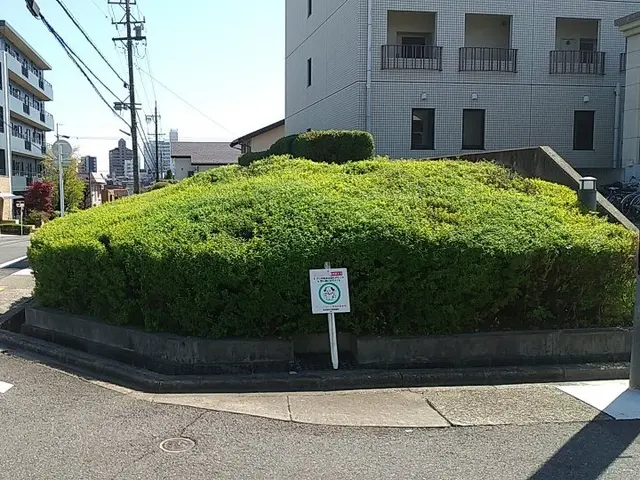 【PayPay・カード決済OK】庭木1本だけでもOK。処分費込です。サービスの画像