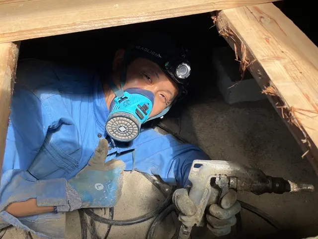 【業界歴15年の実績】シロアリ防除施工士が責任を持って調査〜施工まで担当します。サービスの画像