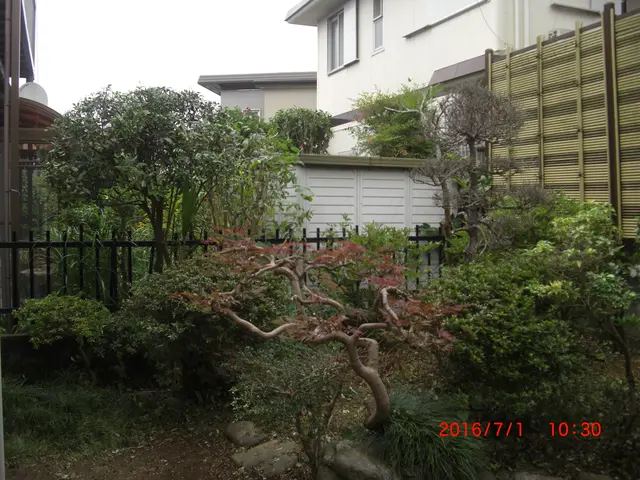 【船橋発】口コミ数250件！この道20年のベテランスタッフが伺いますサービスの画像