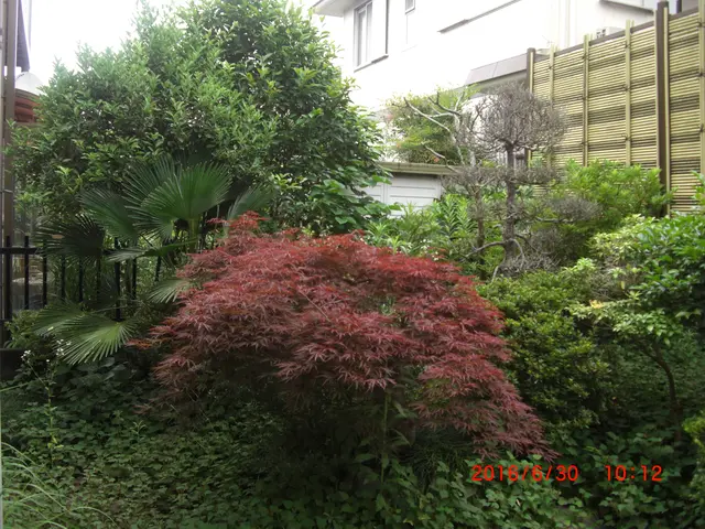 【船橋発】口コミ数250件！この道20年のベテランスタッフが伺いますサービスの画像