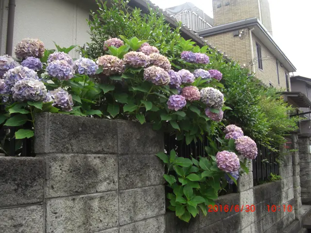 【船橋発】口コミ数250件！この道20年のベテランスタッフが伺いますサービスの画像