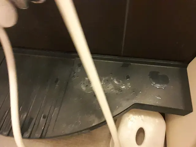 ◎お掃除お手伝いいたします　水垢石鹸カス床の黒ずみ一生懸命落とします!サービスの画像