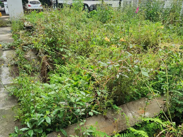 [熊本県限定]草むしり(機械)サービスの画像