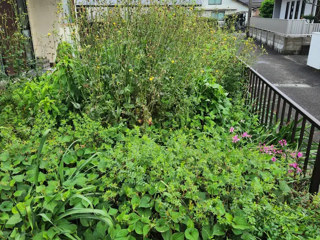 [熊本県限定]草むしり(機械)サービスの画像