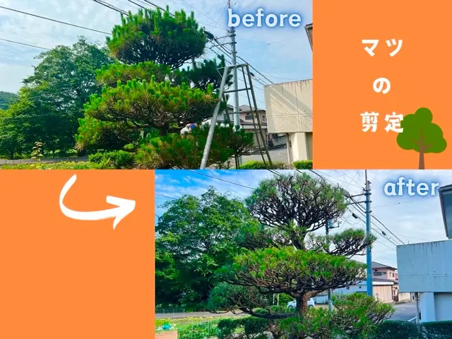 【群馬県の植木屋】豊富な経験を持つプロの庭師がご相談から作業まですべて行います！サービスの画像