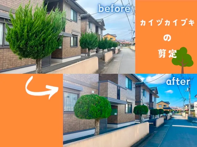 【群馬県の植木屋】豊富な経験を持つプロの庭師がご相談から作業まですべて行います！サービスの画像