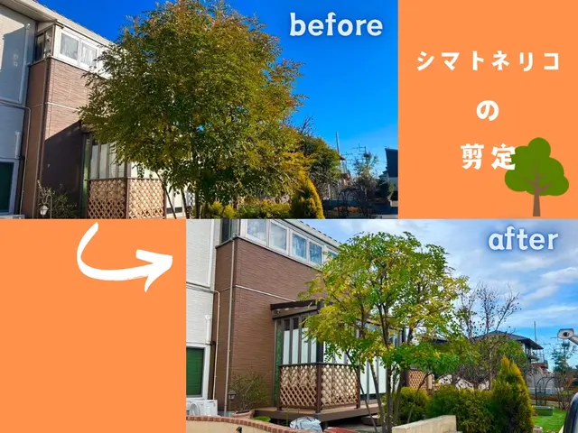 【群馬県の植木屋】豊富な経験を持つプロの庭師がご相談から作業まですべて行います！サービスの画像