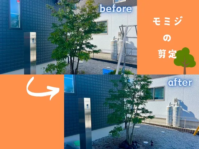 【群馬県の植木屋】豊富な経験を持つプロの庭師がご相談から作業まですべて行います！サービスの画像