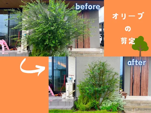 【群馬県の植木屋】豊富な経験を持つプロの庭師がご相談から作業まですべて行います！サービスの画像