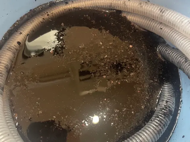 ◆◇11月新規出店価格◇◆見違えるほどキレイに！サービスの画像