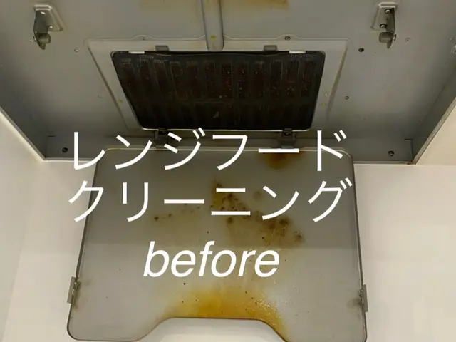 限定特価☆頑固な油汚れはプロにお任せください！ピカピカに致します！サービスの画像