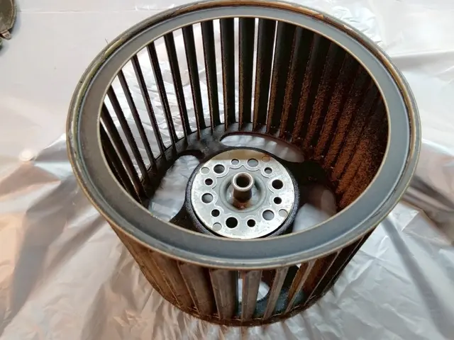 【モニター価格！】セットがお得！カビも水アカも徹底除去！サービスの画像