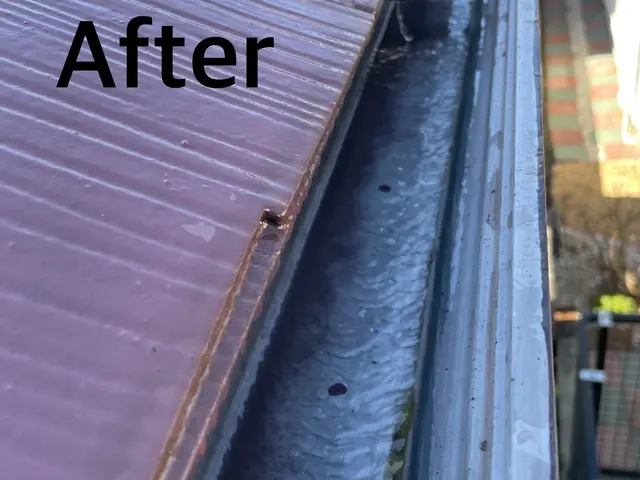 『雨樋清掃・交換』安心の自社施工！その他、お家の色々なお悩み解決します！サービスの画像