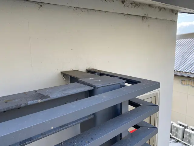 カラスとなると威圧感がありこわいですよね？弊社はお客様と相談の元施工致します。サービスの画像