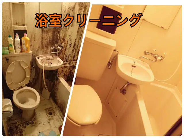 8月末までの受付終了です！ハウスクリーニング士資格取得者が作業！サービスの画像