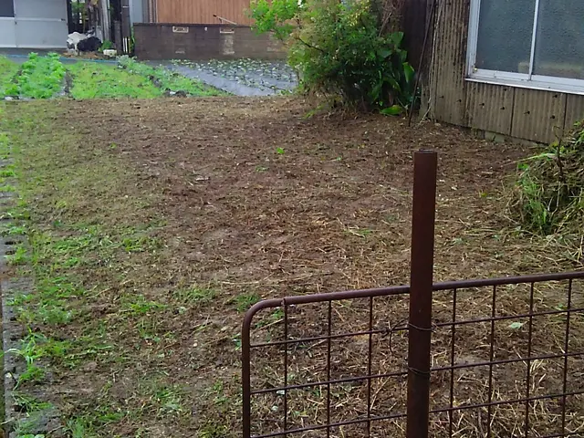 ＊草刈り（草刈り機）【⁂200平米以上50％割引⁂】サービスの画像