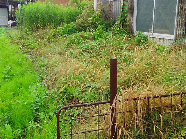 ＊草刈り（草刈り機）【⁂200平米以上50％割引⁂】サービスの画像