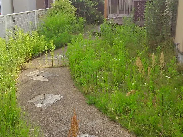 ＊草刈り（草刈り機）【⁂200平米以上50％割引⁂】サービスの画像