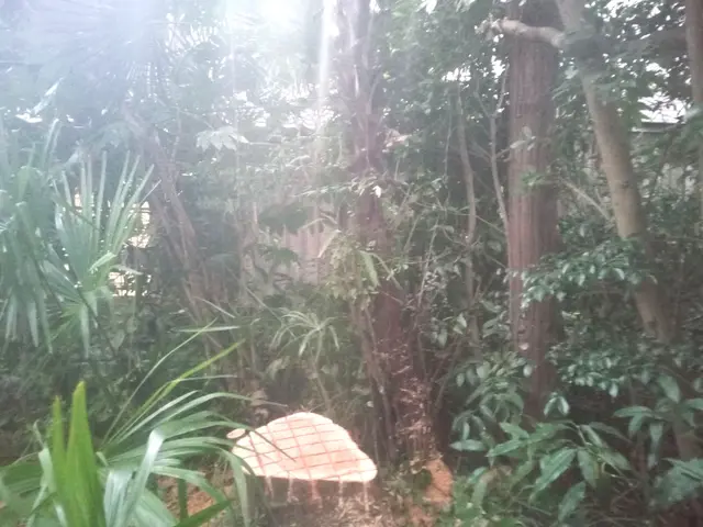 ◎庭園管理士が岩国市より各地にお伺いします。◎対応地域外でもご要望お聞きします。サービスの画像