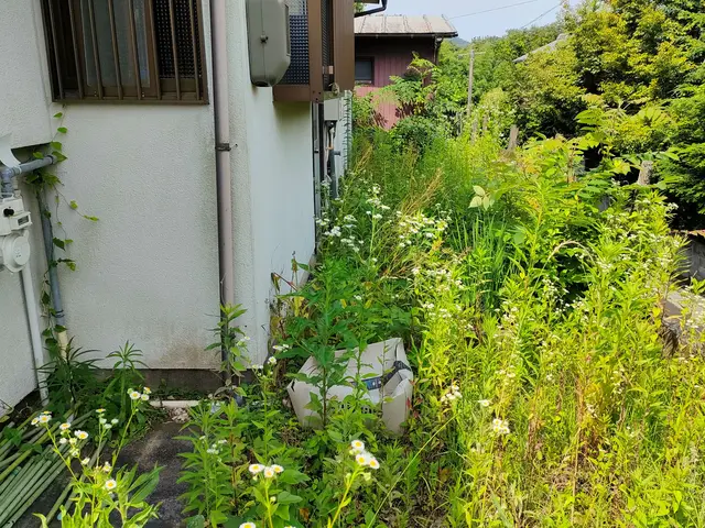 無料見積もり可！機械での草刈りは「お庭屋N-works」にお任せ下さい！サービスの画像