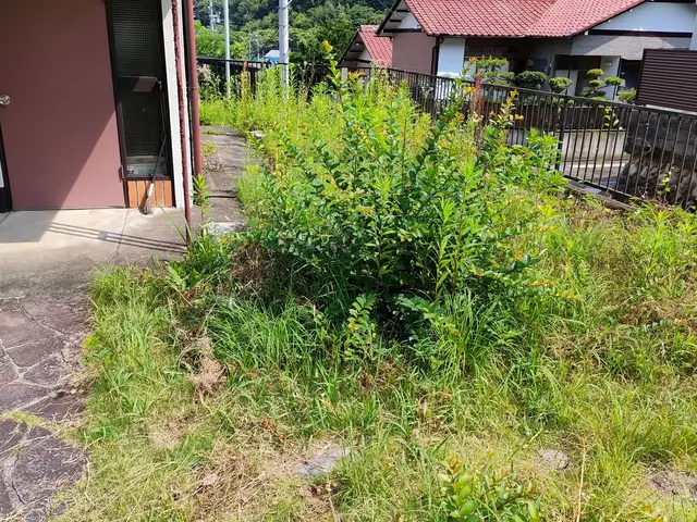 無料見積もり可！機械での草刈りは「お庭屋N-works」にお任せ下さい！サービスの画像