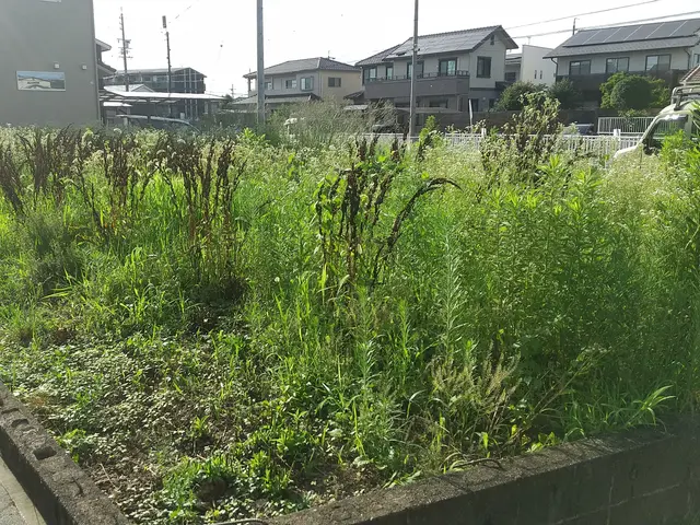 お庭から耕作放棄地まで格安な草刈りは「お庭屋N-works」にお任せ下さい！サービスの画像