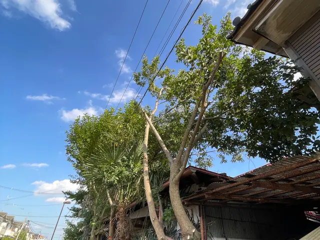 剪定経験多数な職人と一緒にお伺いいたします。早朝可能！サービスの画像