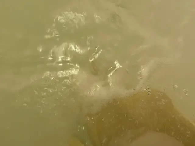 ◆丁寧に隅々まできれいに致します◆写真の私がお伺い致します◆駐車料金は不要です！サービスの画像