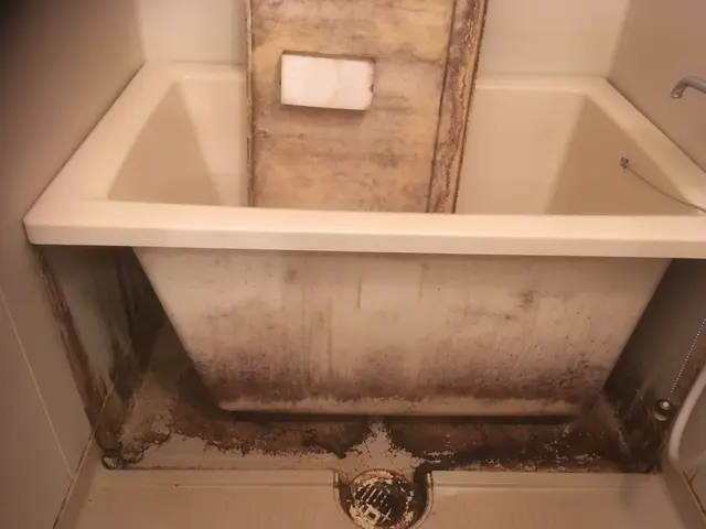 【水回り5点】横浜市発◇水回りの清掃はまとめておトクに◎プロにお任せください！サービスの画像