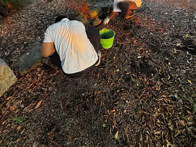 落ち葉清掃・庭のお片付けサービスの画像