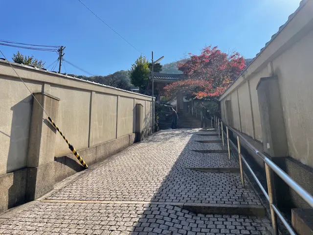 落ち葉清掃・庭のお片付けサービスの画像