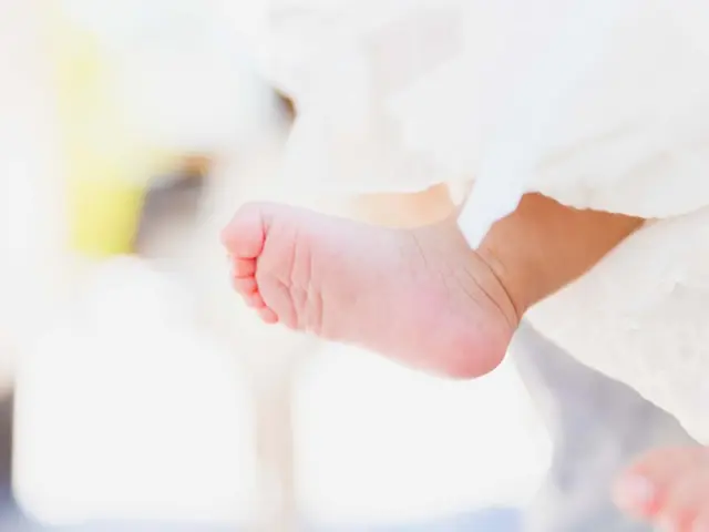 【東京中心】プロカメラマンガお宮参りの出張写真撮影をいたします！サービスの画像