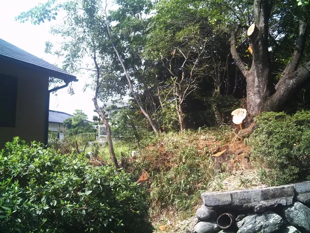 ◆写真は「重機」を使った『伐根』作業です。◆「チエンソー」で『伐採』も致します。サービスの画像