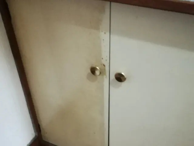 【店長の私が伺います◎】不器用です。だからこそ誠実に。サービスの画像