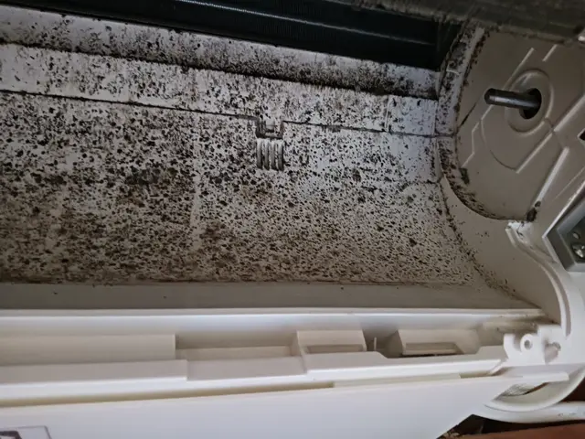 【くらしのマーケットアワード受賞店】安心＆丁寧♫非喫煙者◆写真の私がお伺いしますサービスの画像