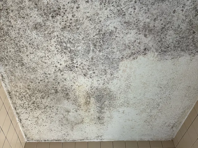 ★普段の悩み解決！風呂掃除辛い！でも綺麗にしたい☆一度だけプロ頼ってみませんか？サービスの画像