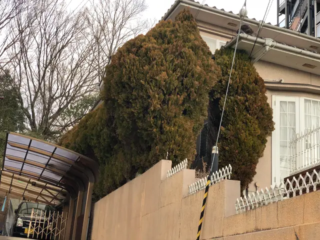 【業歴30年の知識と技術】伐採・抜根お任せ下さい！サービスの画像