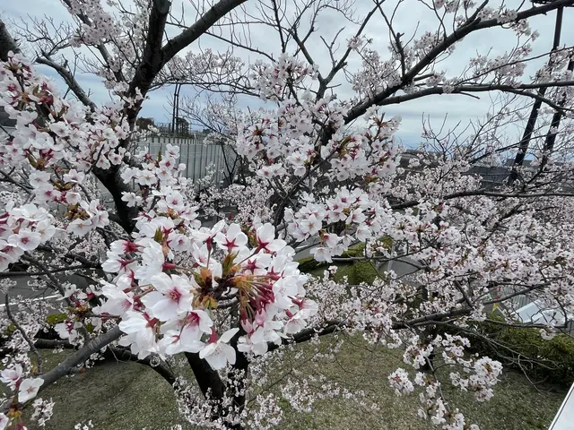 プロの技術でご満足いただけるように心を込めて作業いたしますサービスの画像