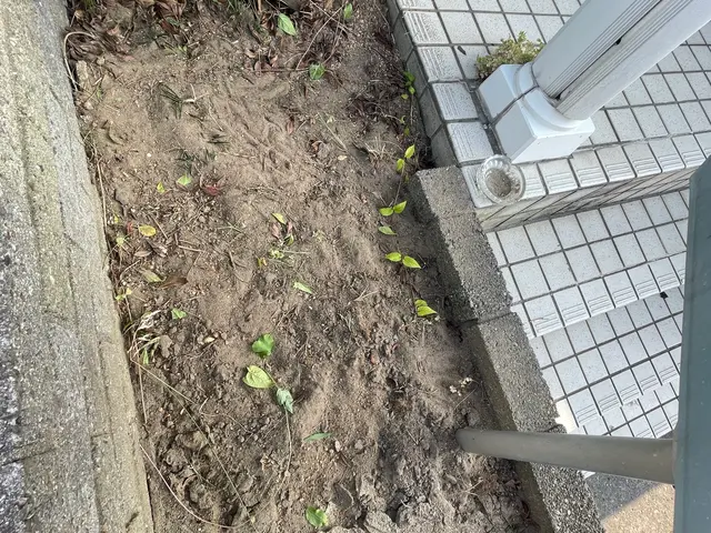 プロの技術でご満足いただけるように心を込めて作業いたしますサービスの画像