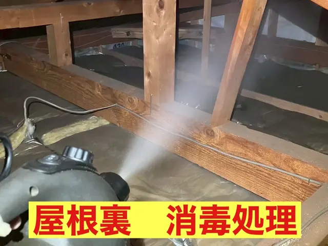害虫駆除の専門家だから安心！駆除王のｲﾀﾁ・ｱﾗｲｸﾞﾏ・ﾊｸﾋﾞｼﾝ駆除！サービスの画像