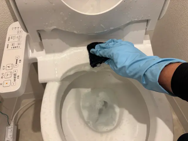 丁寧クリーニングで清潔＆快適に変身！水回り5点セットでスッキリピカピカに！サービスの画像