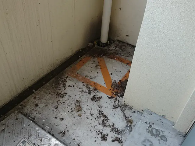 夫婦2人で訪問！役割分担で作業が速い。高圧洗浄で排水口、室外機裏までキレイに！サービスの画像