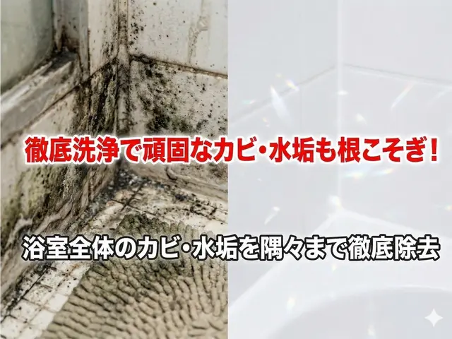 浴室クリーニング｜カビ水垢皮脂汚れ徹底除去の安心丁寧施工サービスの画像