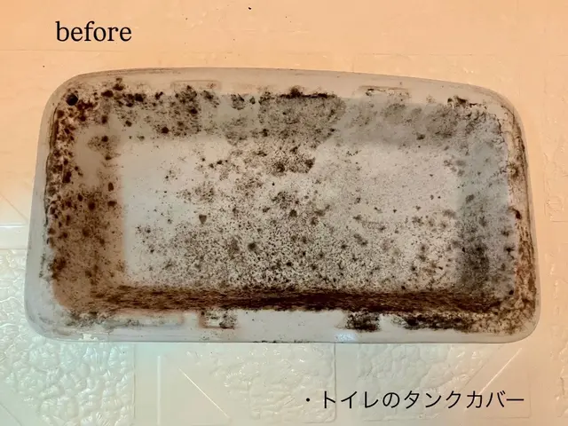 プロの技術でご満足いただけるように心を込めて作業いたしますサービスの画像