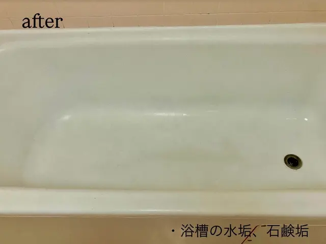 プロの技術でご満足いただけるように心を込めて作業いたしますサービスの画像